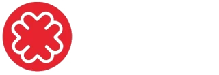 MAYRA IT Solutions